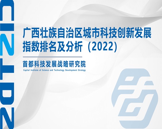 啊啊啊鸡巴操我视频【成果发布】广西壮族自治区城市科技创新发展指数排名及分析（2022）